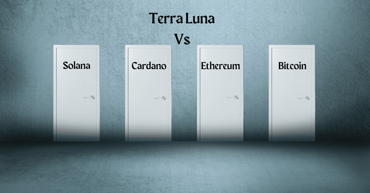 Terra Luna The Best Investment Choice