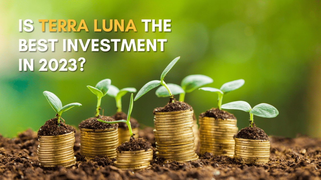 Terra Luna The Best Investment Choice