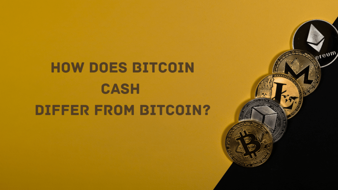 Litecoin versus Bitcoin Cash